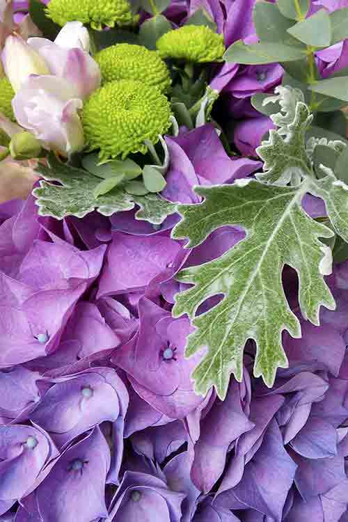 image05