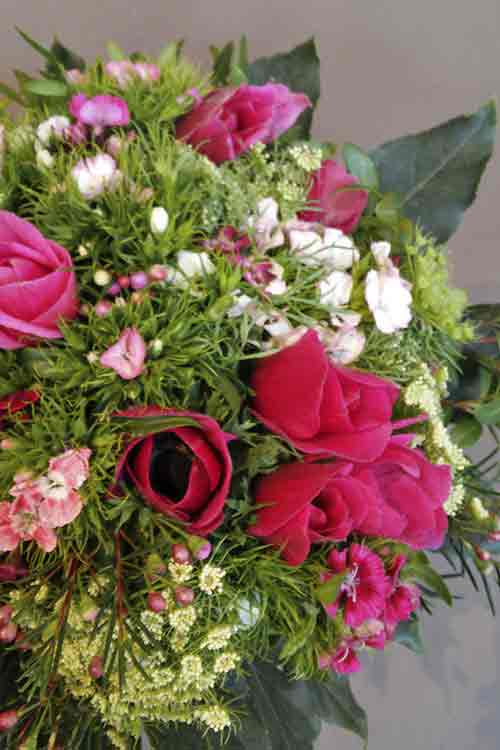 image06
