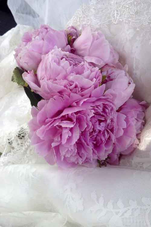 image04